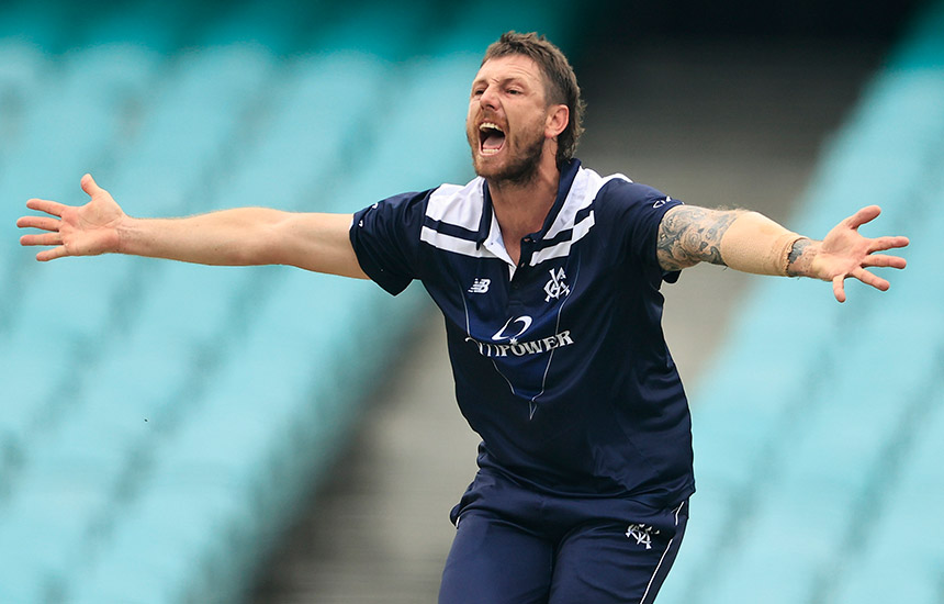 Pattinson returns for Victorian One-Day Cup clash