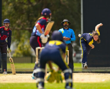 Victoria sees cricket participation numbers rebound